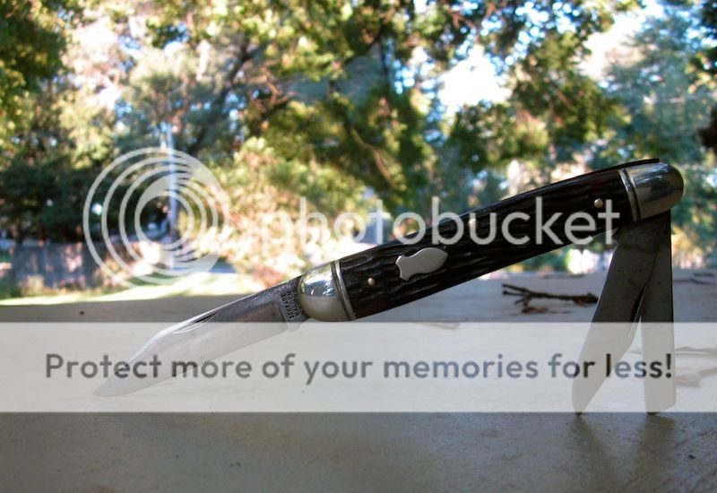 IMG_2388.jpg~original