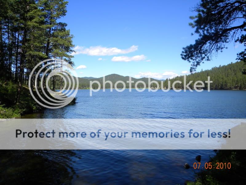 DSCN2484.jpg