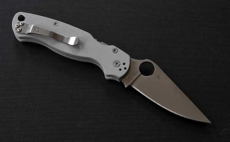 para2.jpg