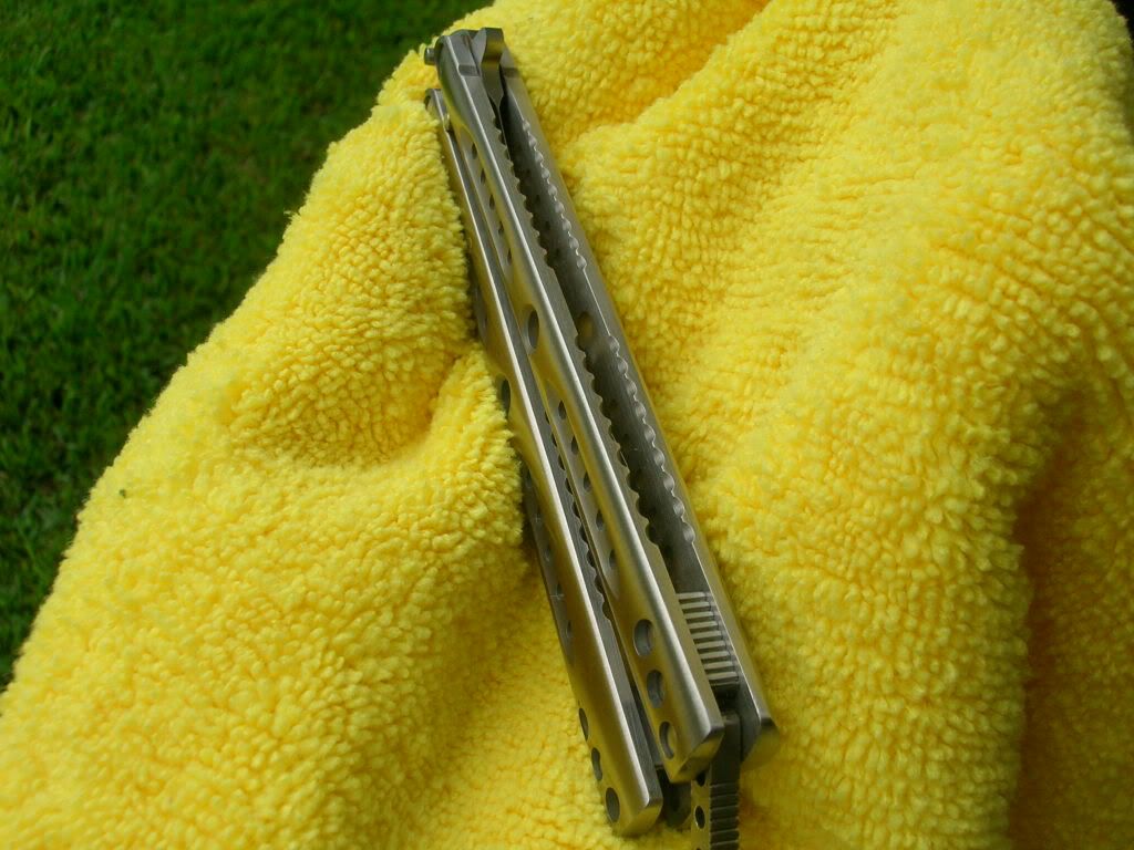 DSCN3481.jpg