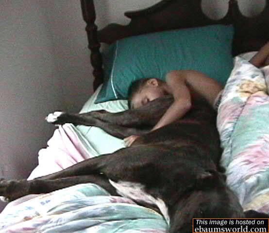 dogbutt.jpg