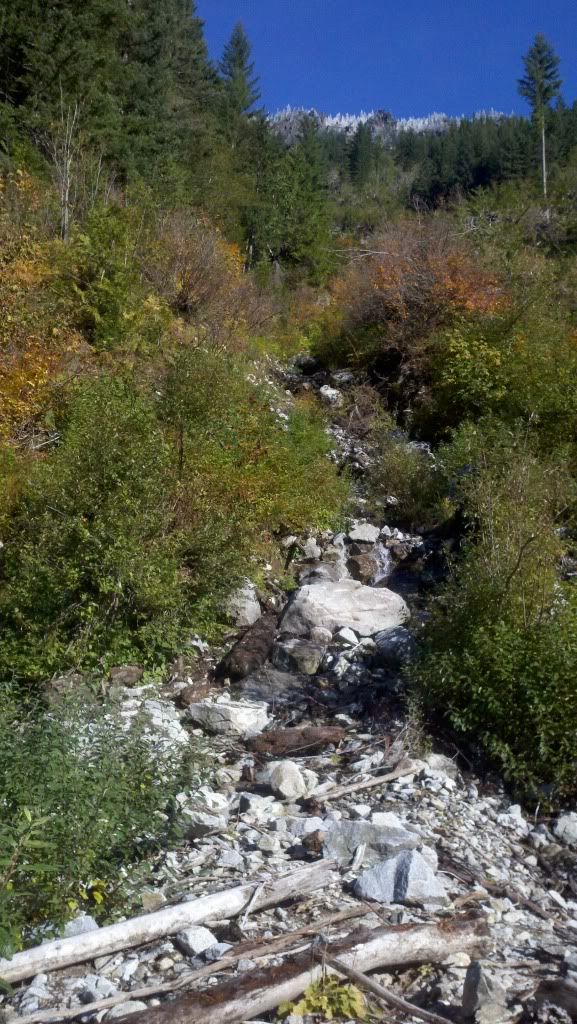 2011-11-05_11-53-03_790.jpg