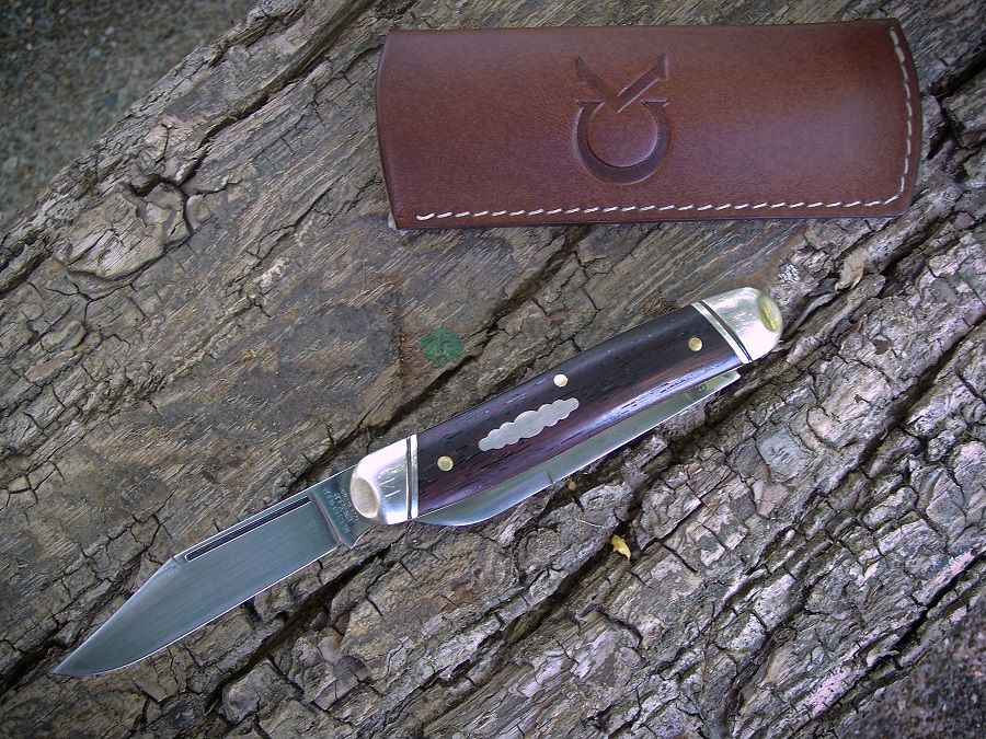 GEC66_Moose_coco_00.jpg