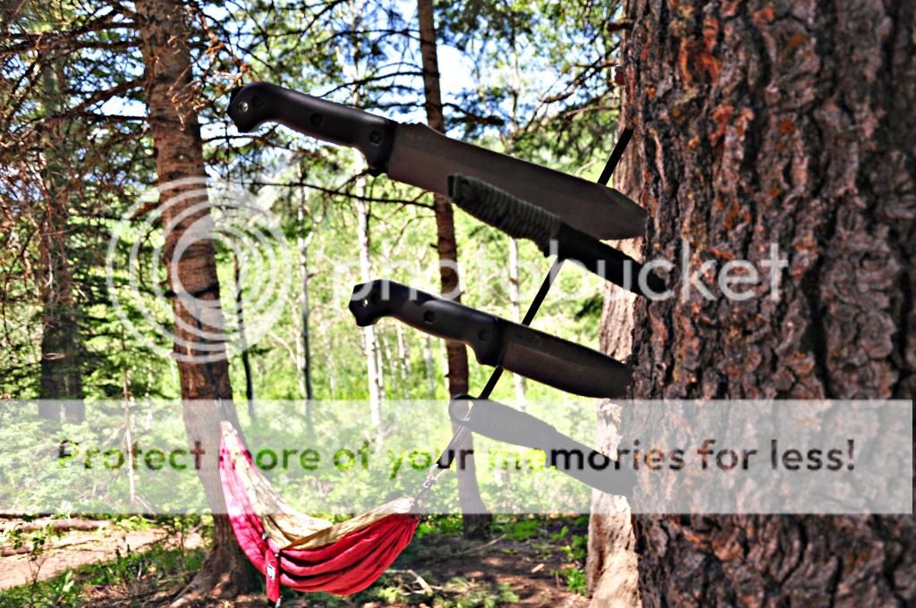hammock_zps3518b58f.jpg