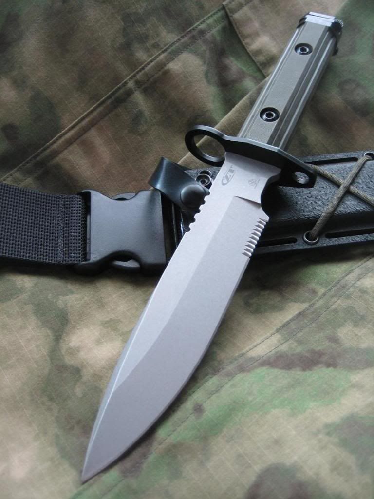 ZT3.jpg