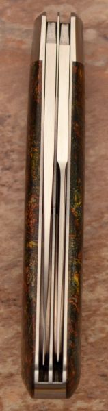 tbose-312ragmicartaWT-5.jpg