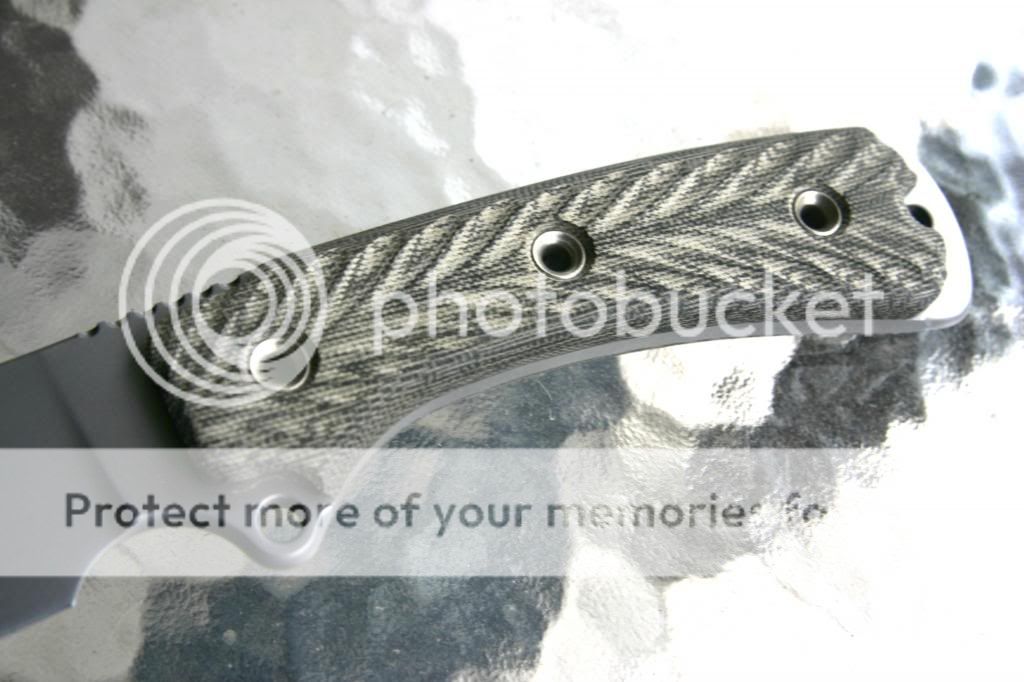 IMG_2058_zps8935fdc7.jpg
