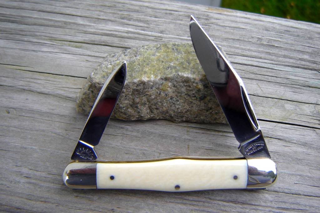 TenneyIvory1.jpg
