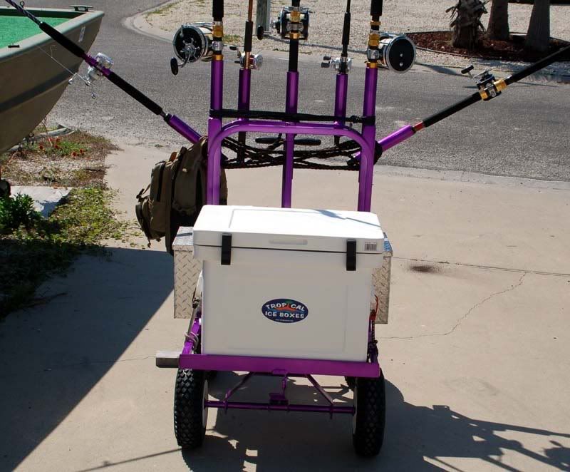 acart25.jpg