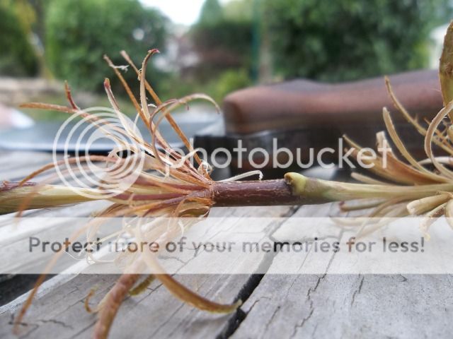 100_3324.jpg