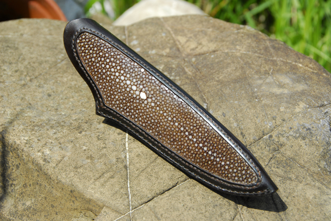 sheath_ray5.jpg