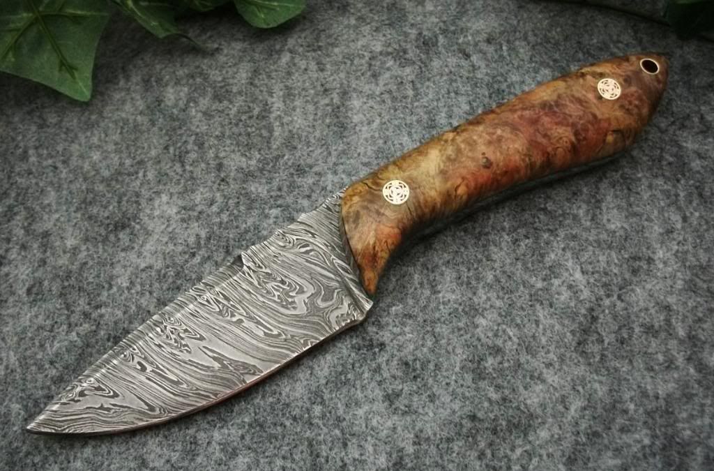 beb014.jpg