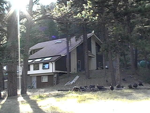 UBEandarottenlog023.jpg