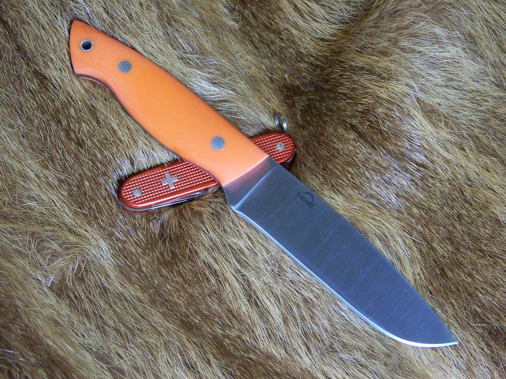 4501968491_96eb7f4211_b.jpg