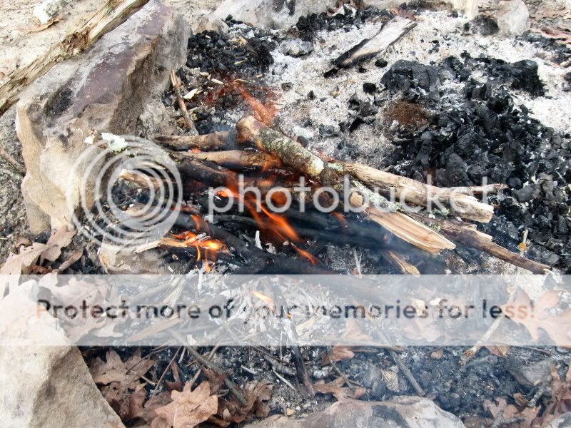IMG_9677.jpg