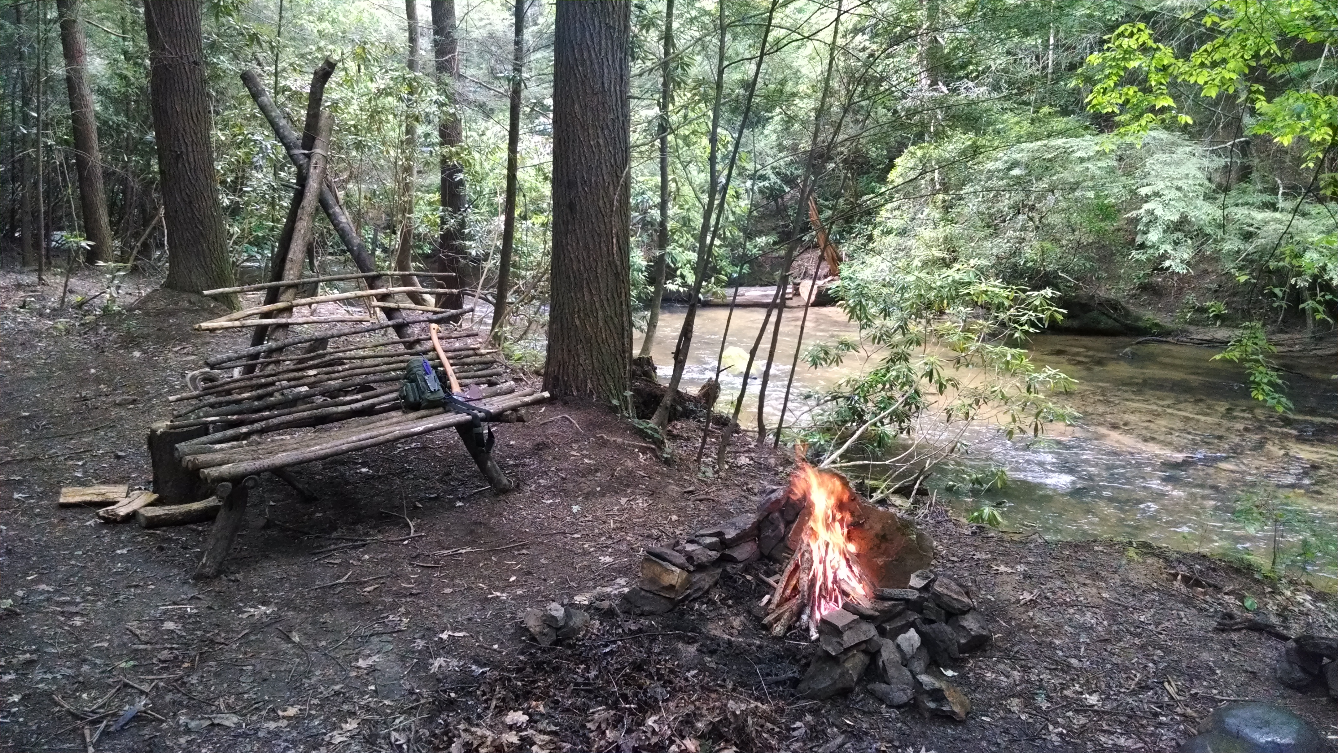 Abobench_Cohutta_Wilderness.jpg