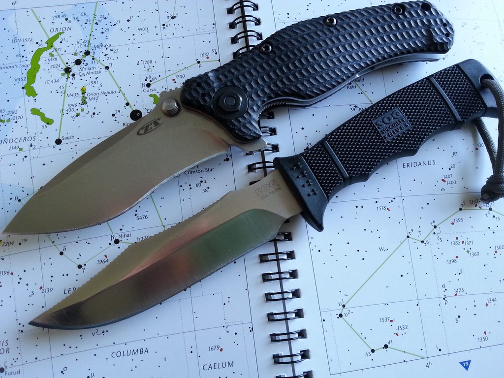 CEDR2amh.jpg