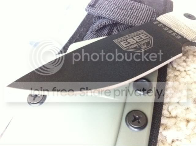photo4-16.jpg