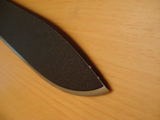 busse3.jpg
