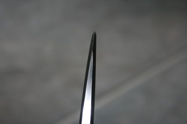 IMG_4546.jpg