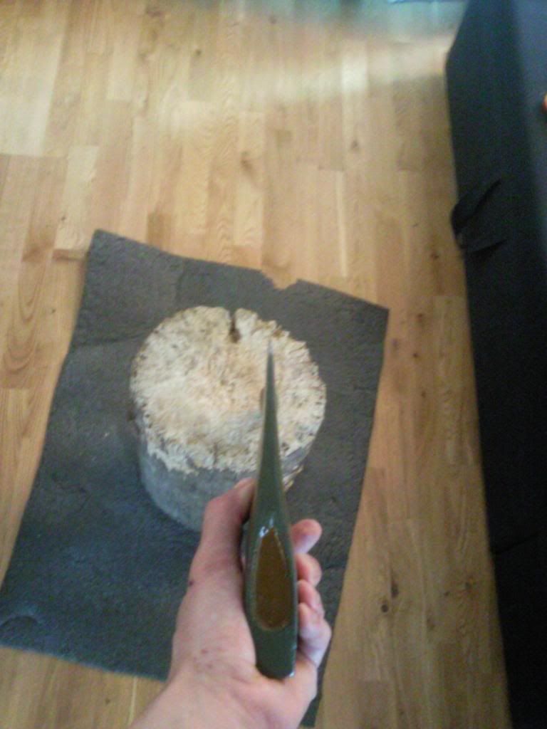 Foto1157_zpscfabd1d1.jpg
