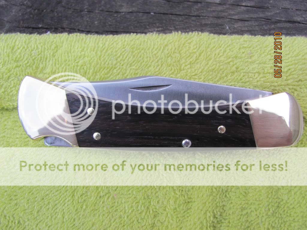 backfromBuck011.jpg