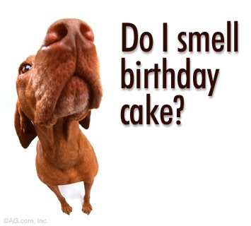 happy_birthday_new%5B3%5D.jpg