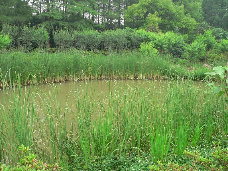 P1400315.jpg