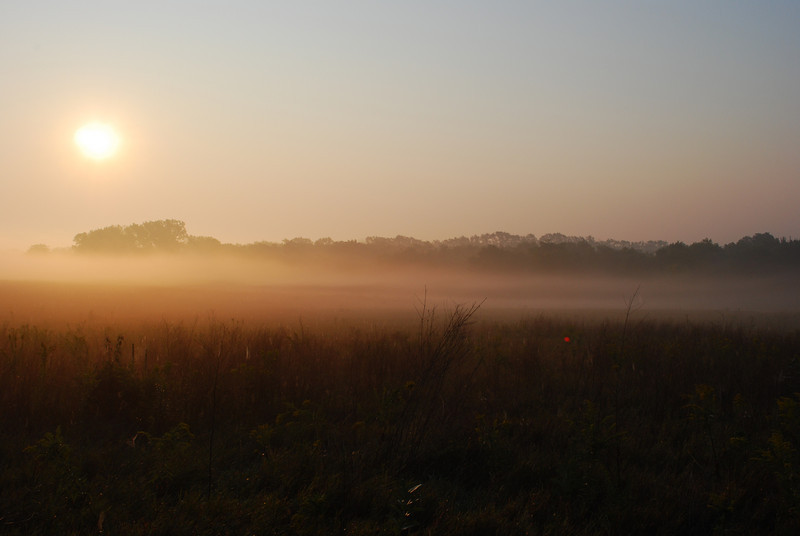 641121723_nDWPd-L.jpg