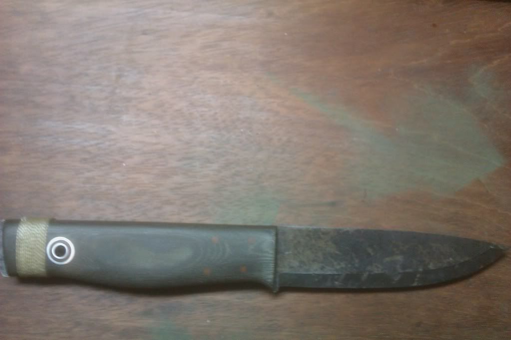 IMAG0051.jpg