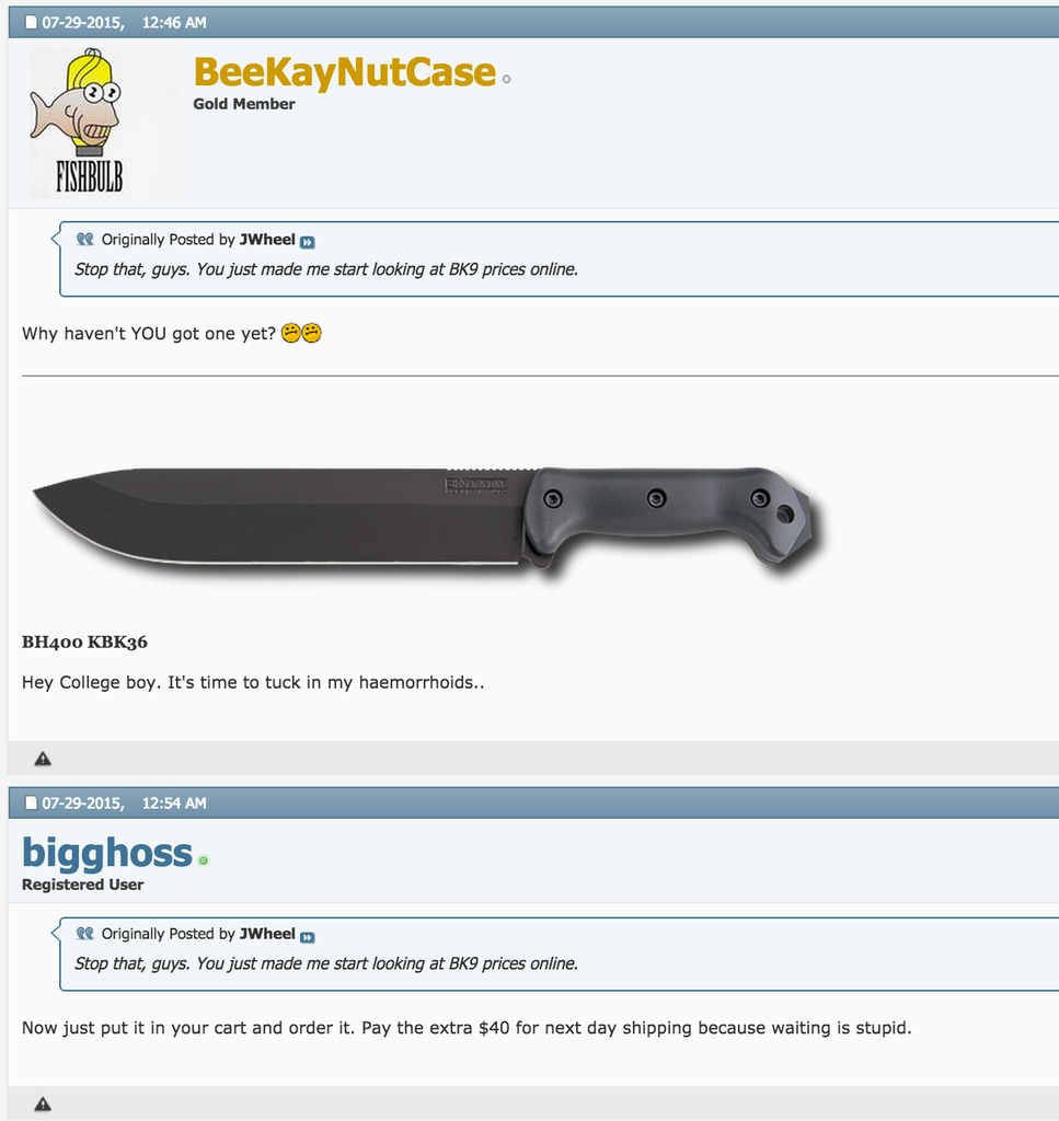 bully_zpser10inkl.png