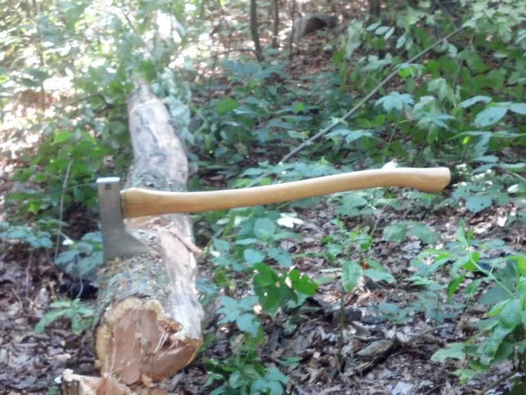2012-07-29_15-36-28_557.jpg