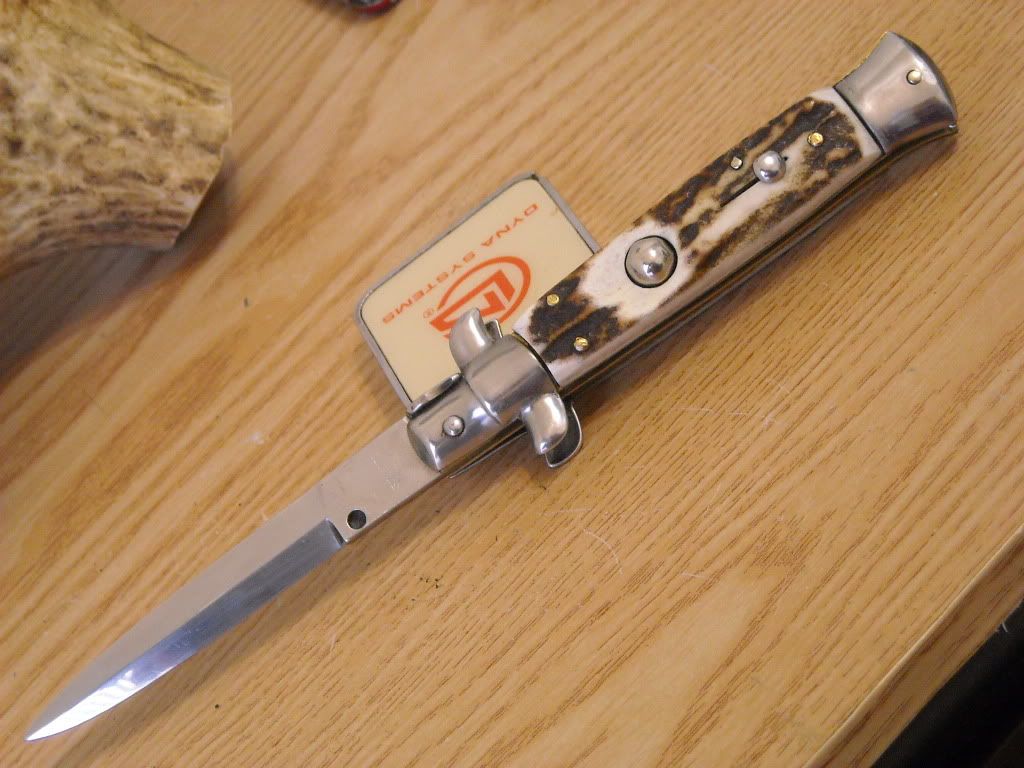 DSCN3130.jpg