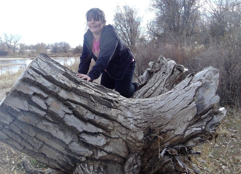 Tara%20Big%20Stump_zpsbpf80mda.jpg