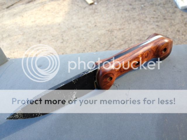 photoMA28152266-0010.jpg