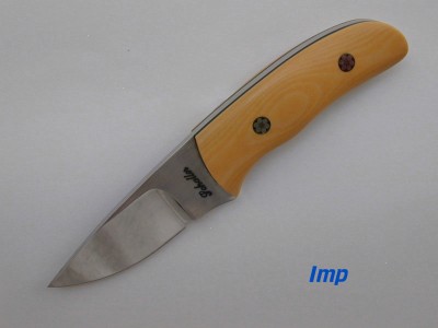 imp.jpg