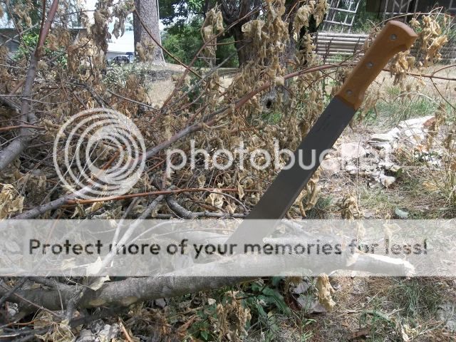 100_2216.jpg