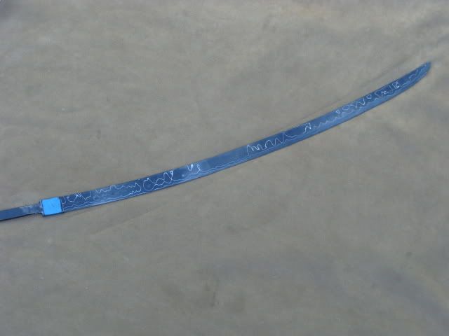 DSC01904.jpg