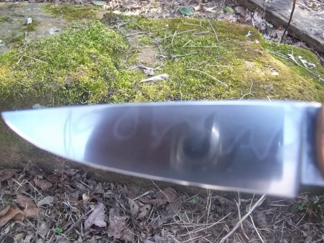 100_5361.jpg