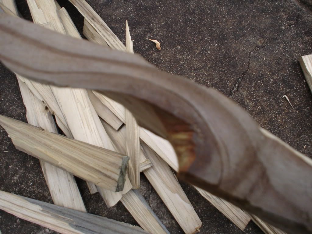 DSC01626.jpg
