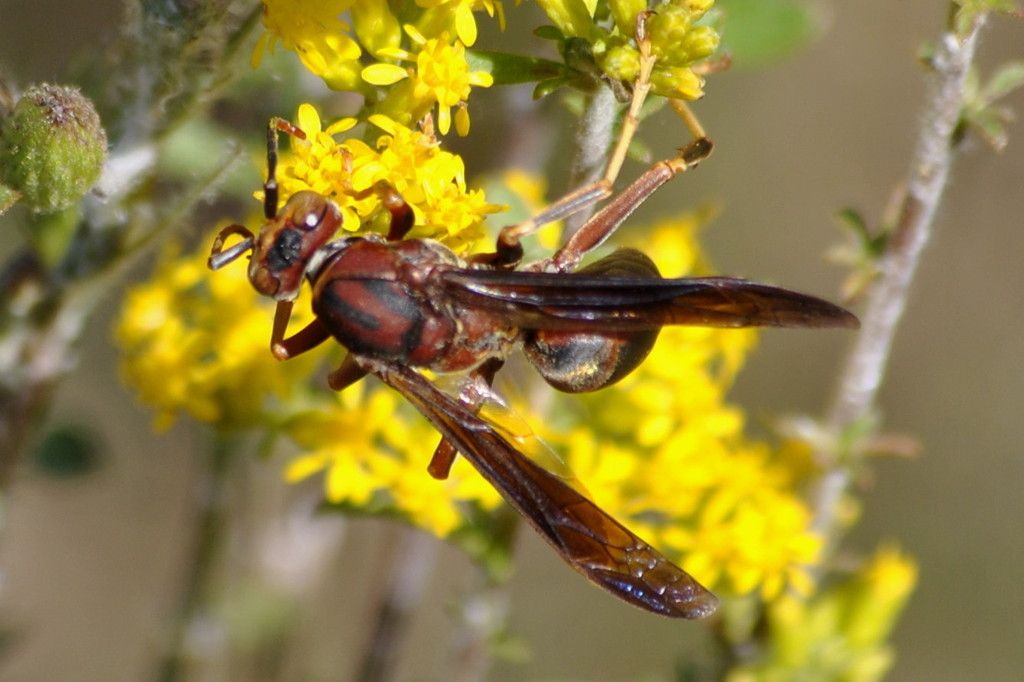 DSC_5902.jpg