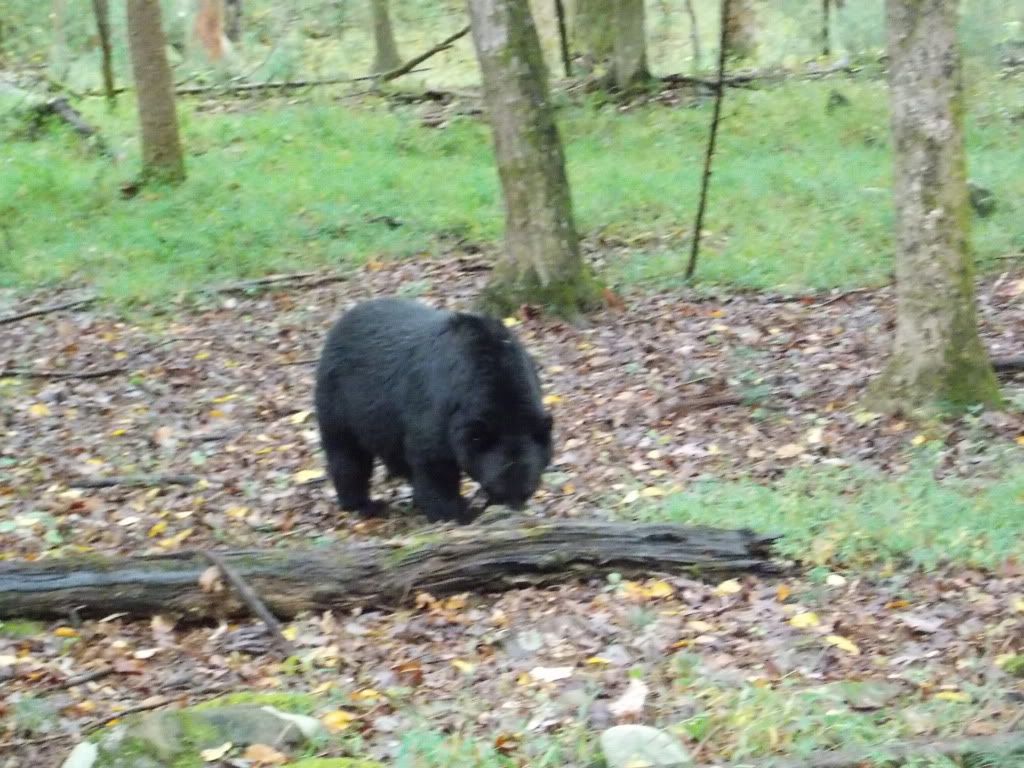 CadesCove10-7-12101.jpg