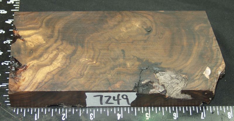 7249a.jpg