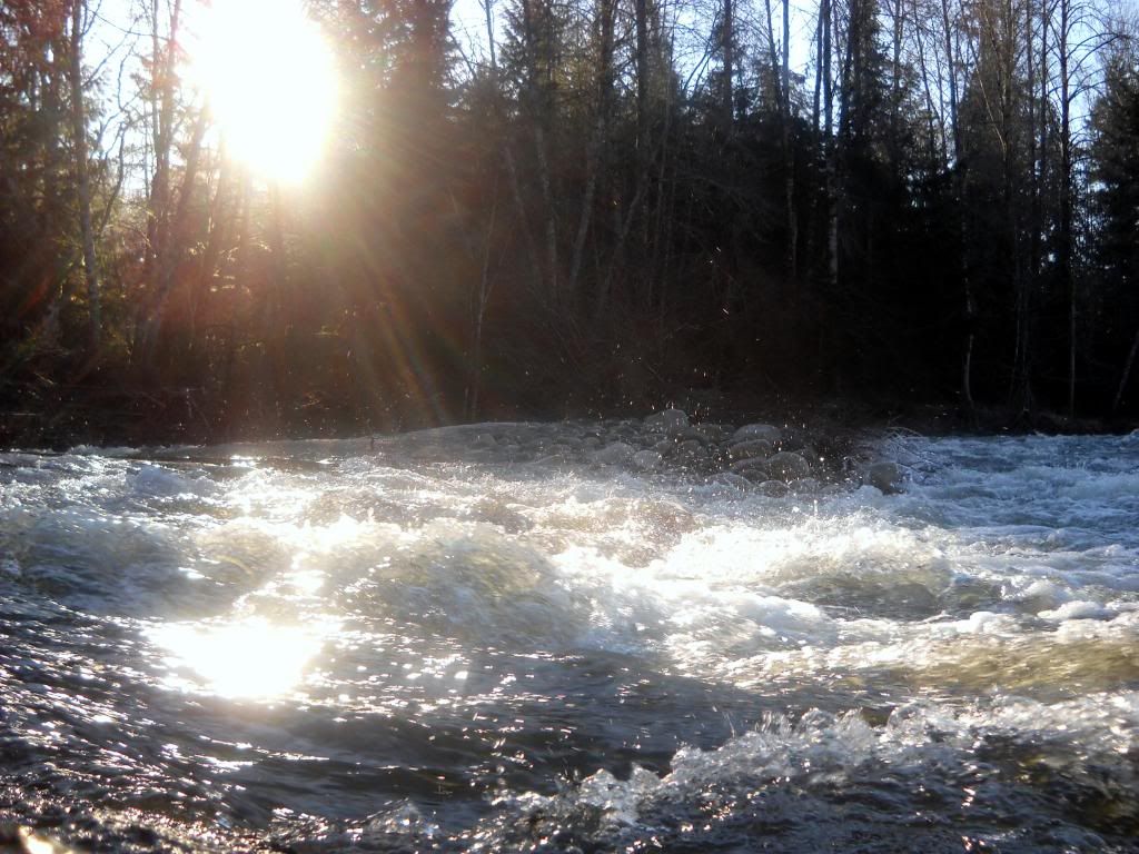 DSCN0310.jpg