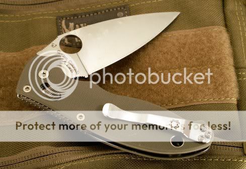 MANIX2FOLIAGE003.jpg