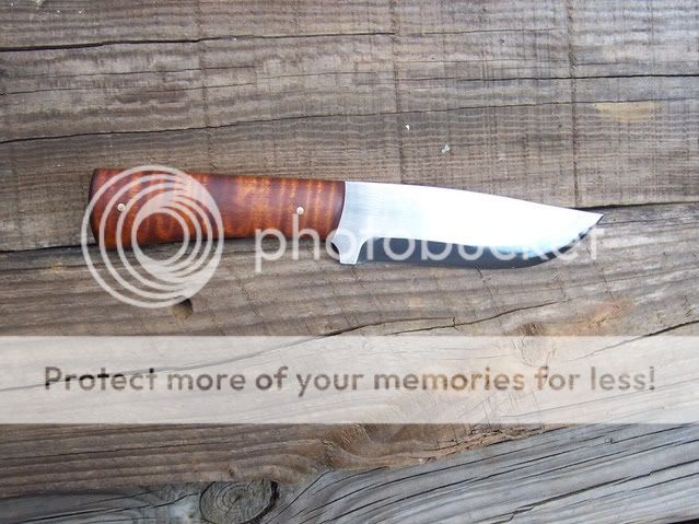 bladeforums04001.jpg