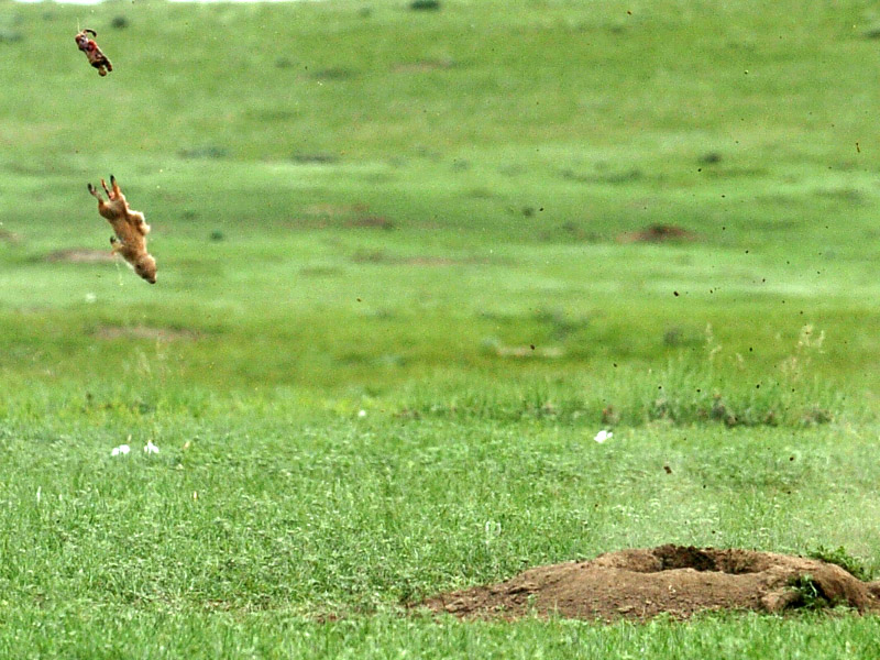 424334836_Vpz4r-L.jpg