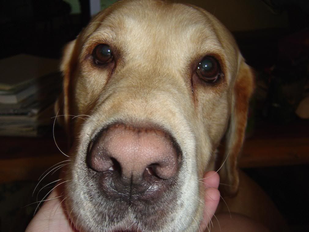 5-5-08060.jpg