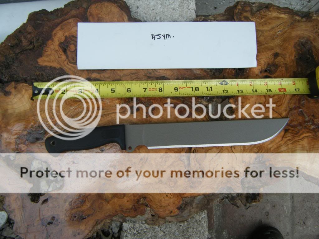 b-11027.jpg