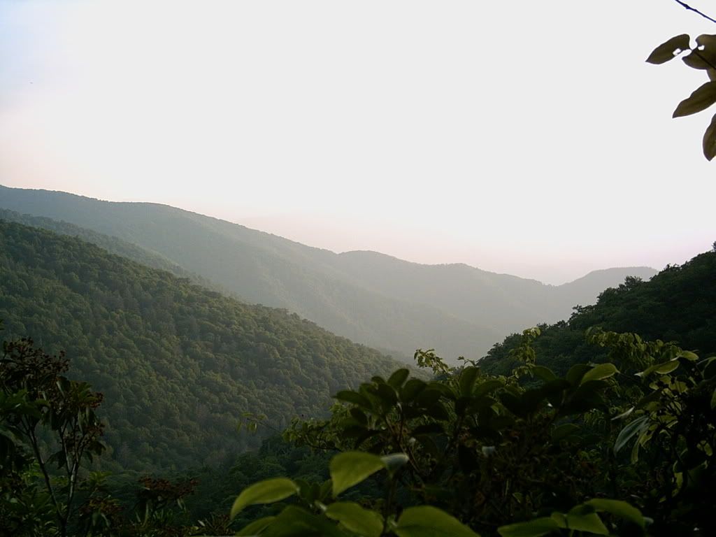 PICT0012-1.jpg